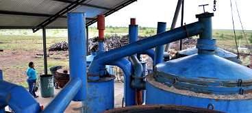 Biochar production at La Pedregoza