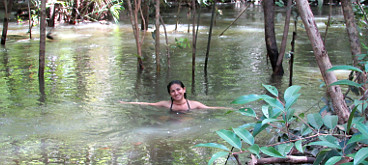 Pineapple forest pool at La Pedregoza