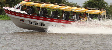 Rio Meta river bus