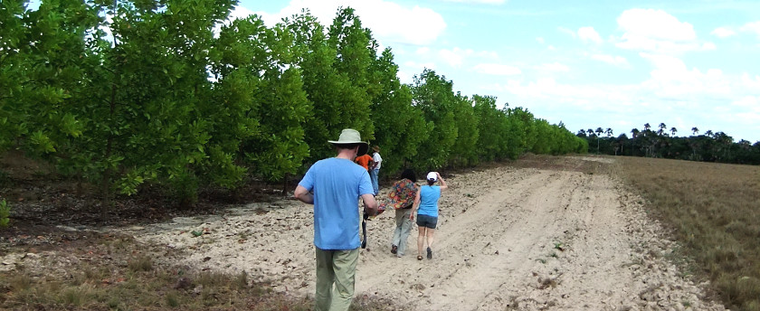 Sustainable forestry at La Pedregoza