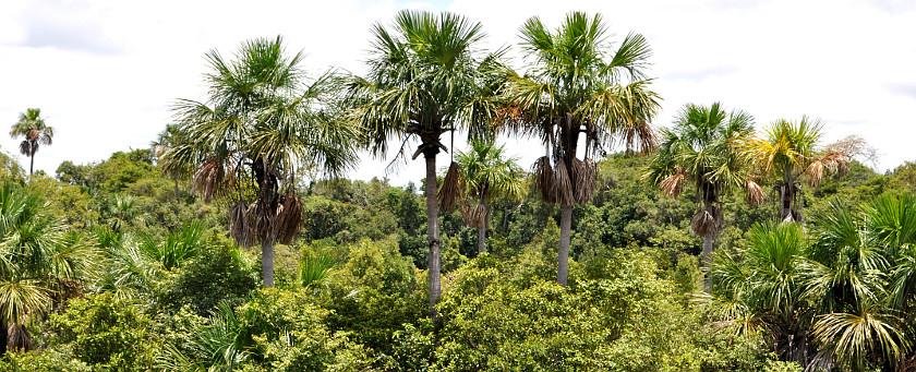 Reserva Natural La Pedregoza