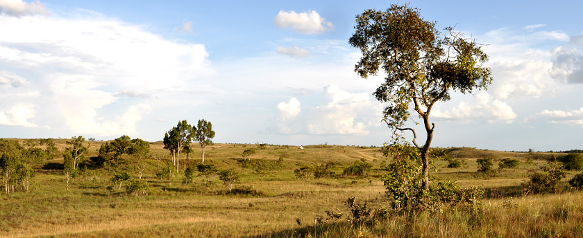 Natural Regeneration and Serranías