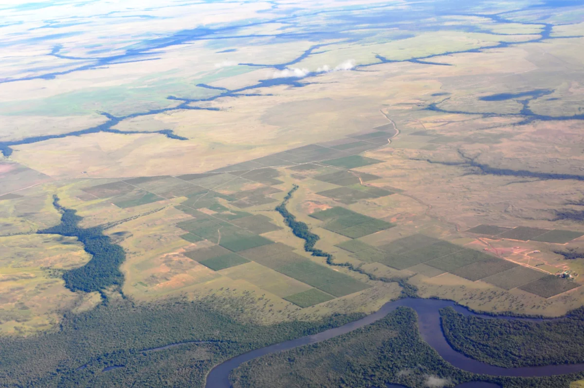 Aerial view of the rivers and savannah near Puerto Carreño
