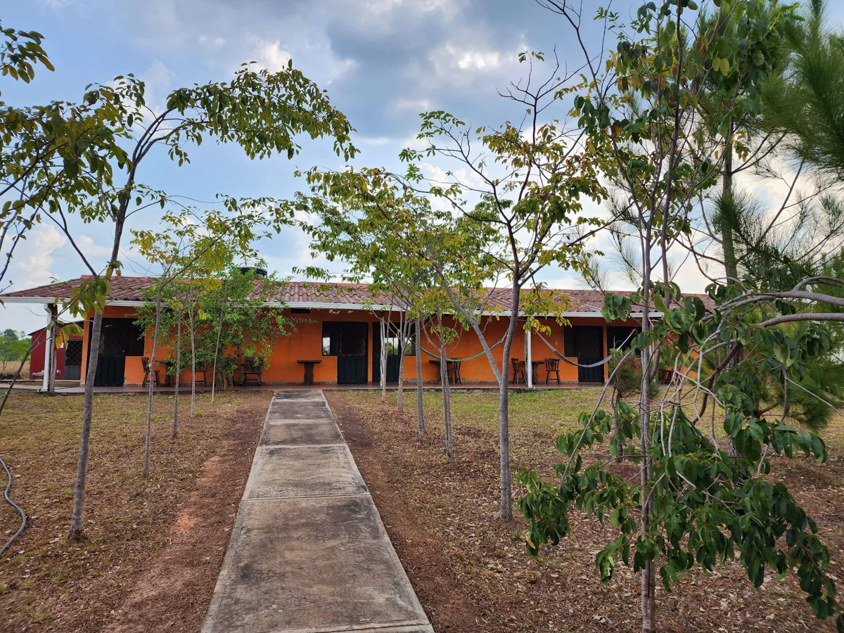 Ecolodge buildings and garden