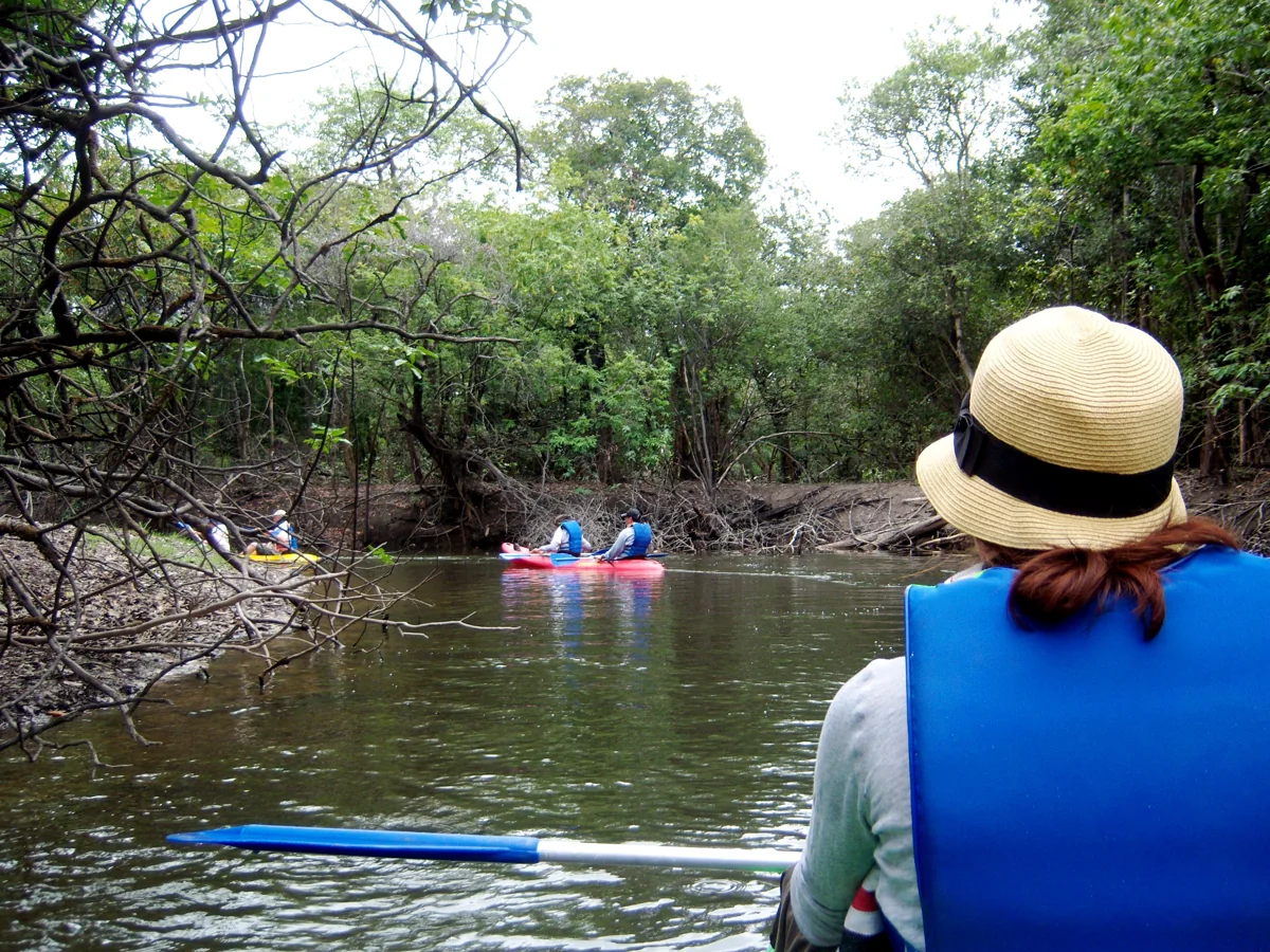 Into the flooded forest