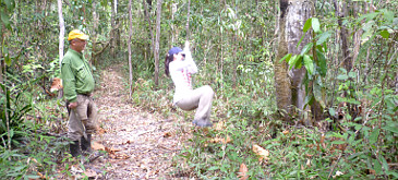 Caminatas en los bosques de La Pedregoza