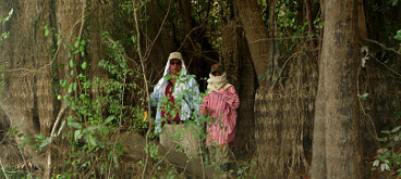 Selva en La Pedregoza